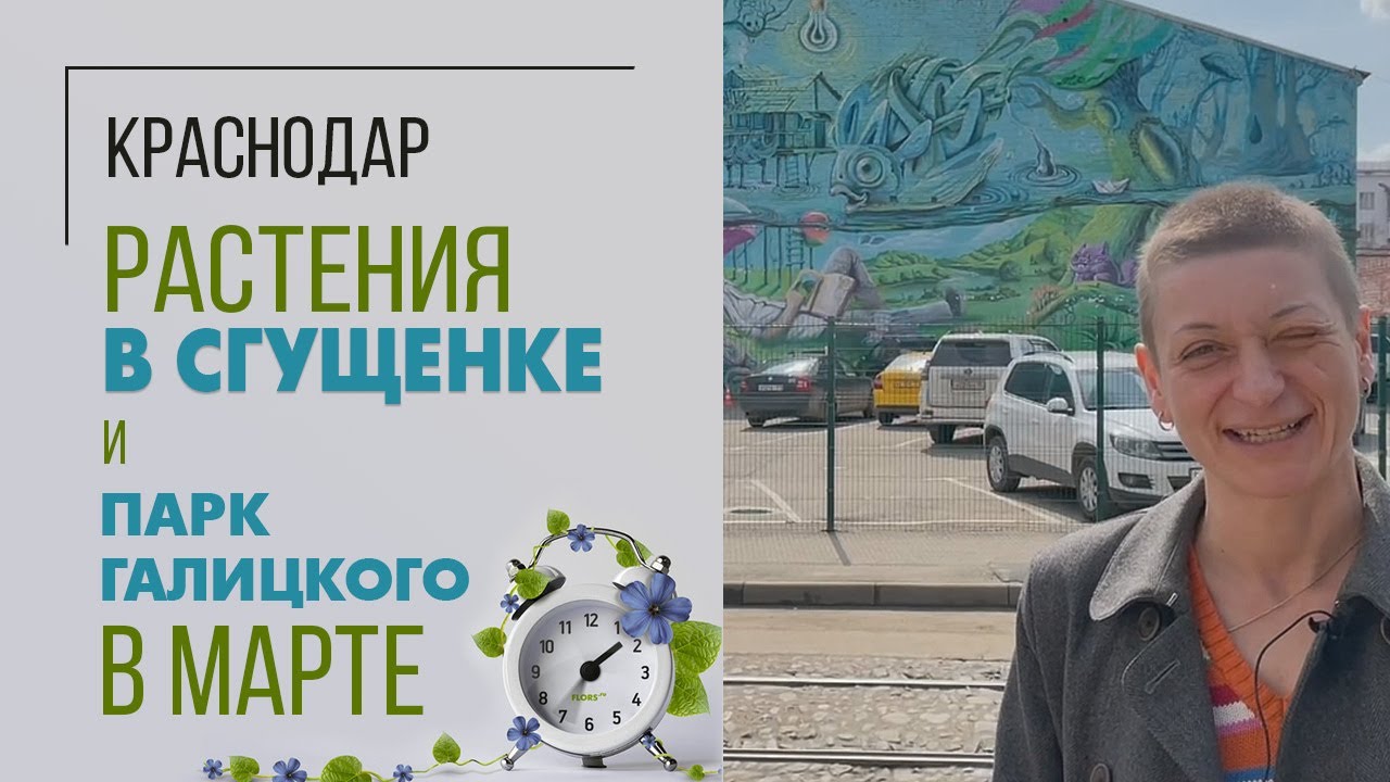 Растения в Сгущенке и Парк Галицкого в марте | Что творится в Краснодаре