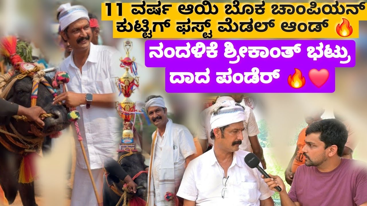 ಮೋಕೆದ ಎರು Champion ಕುಟ್ಟಿಗ್ ಬಲ್ಲ್ ದ ಮಲ್ಲ ವಿಭಾಗಡ್ದ್ Retirement ಕೊರ್ಯೆರ್ ನಂದಳಿಕೆ ಶ್ರೀಕಾಂತ್ ಭಟ್ರು 😔❗