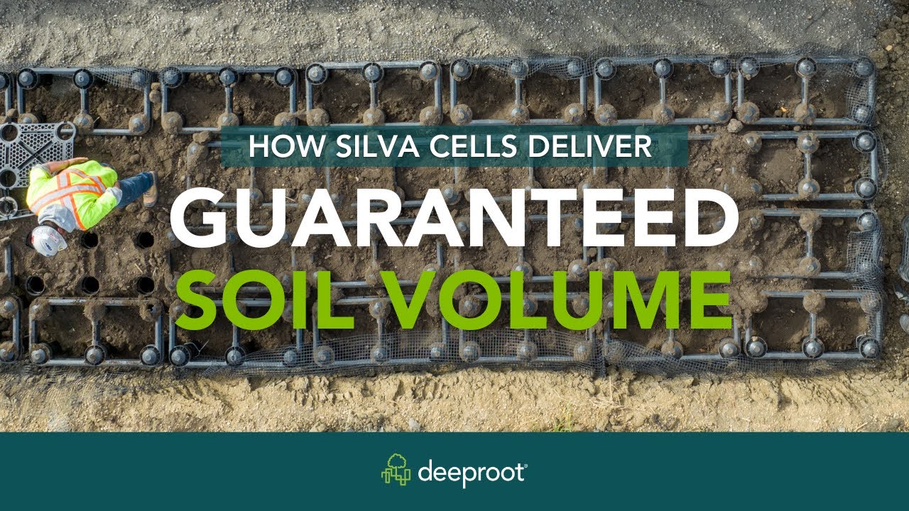 Guaranteed Soil Volume with Silva Cells