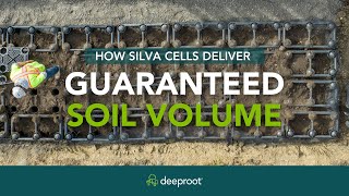 Guaranteed Soil Volume with Silva Cells