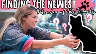 Finding The Newest Member Of The Family