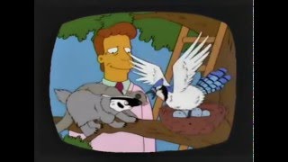 Birds: Our Fine Feathered Colleagues (The Simpsons)