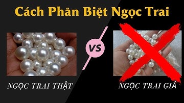Cách Phân Biệt Ngọc Trai Thật Giả | cỡ nào cũng ra kết quả | Ngọc Trai Minh Hà – MHPJ