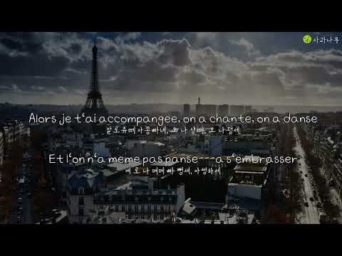 Les Champs Elysees Daniele Vidal