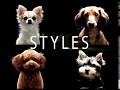【公式】サンライズ 犬種別フード STYLES（スタイルズ）