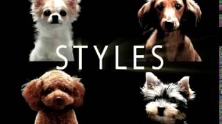 【公式】サンライズ 犬種別フード STYLES（スタイルズ）