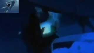 Shark Attack 3 Megalodon - White Shark