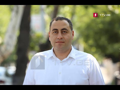 შეხვედრები ამომრჩეველთან