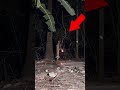 рџ ґHaunted Tubewell Ghost Fighter рџ ґHaunted Tubewell Ghost Fighter