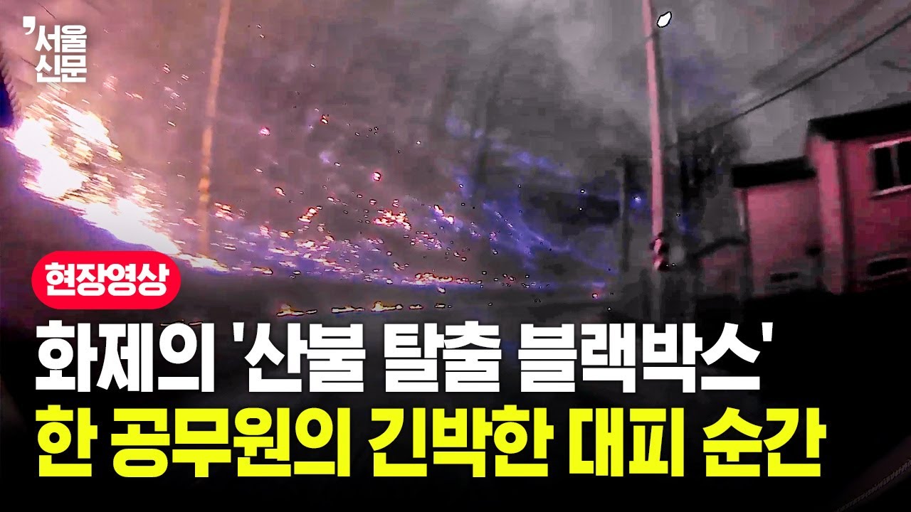 화제의 '산불 탈출 블랙박스'...운전자에게 당시 상황 어땠나 물어보니