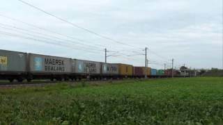 WLC Hödlmayr 1216 954 + ES64U2 023 + ES64U2 022 mit TEC 43623 und Makro-Einsatz bei Ebenfurth