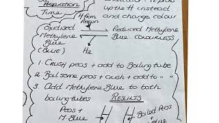 A23 Redox Indicators