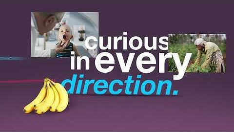 Curious In Every Direction