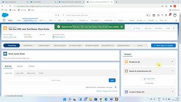 Salesforce Flow Orchestrator Demo