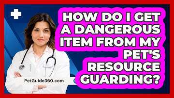 How Do I Get A Dangerous Item From My Pet