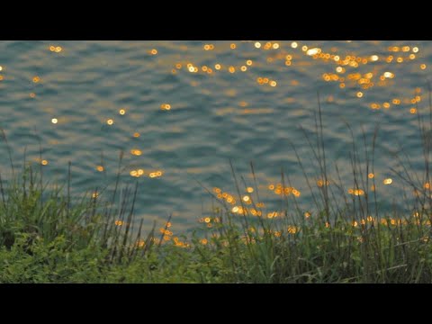 [playlist] Ardhito Pramono's spring