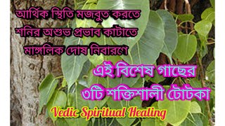 অশ্বত্থ গাছে করুন শক্তিশালী ৩টি টোটকা।প্রভাবে  সমস্ত সমস্যাগুলি দূর হয়ে যাবে VEDIC SPIRITUAL HEALING