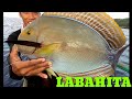 CATCHING LABAHITA,(PADARAW) IN MACTAN SHIPWRECK SIBALE ROMBLON.