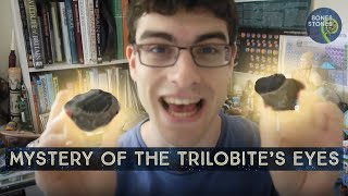 The many faceted mystery of the trilobite's eyes The many faceted mystery of the trilobite's eyes