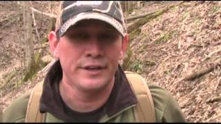 Spring Hike in West Virginia