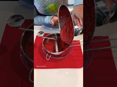 Homemade tomato sauce removing seeds