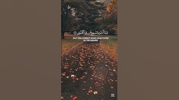 سورة فاطر القارئ ياسر دوسري #اكسبلور #المصحف #قرآن