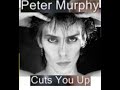 Peter Murphy Cuts You Up AER Extended mp3