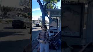 проблема с бомжами в америке #usa #shorts #usatravelvlog #лосанджелес #америка #калифорния