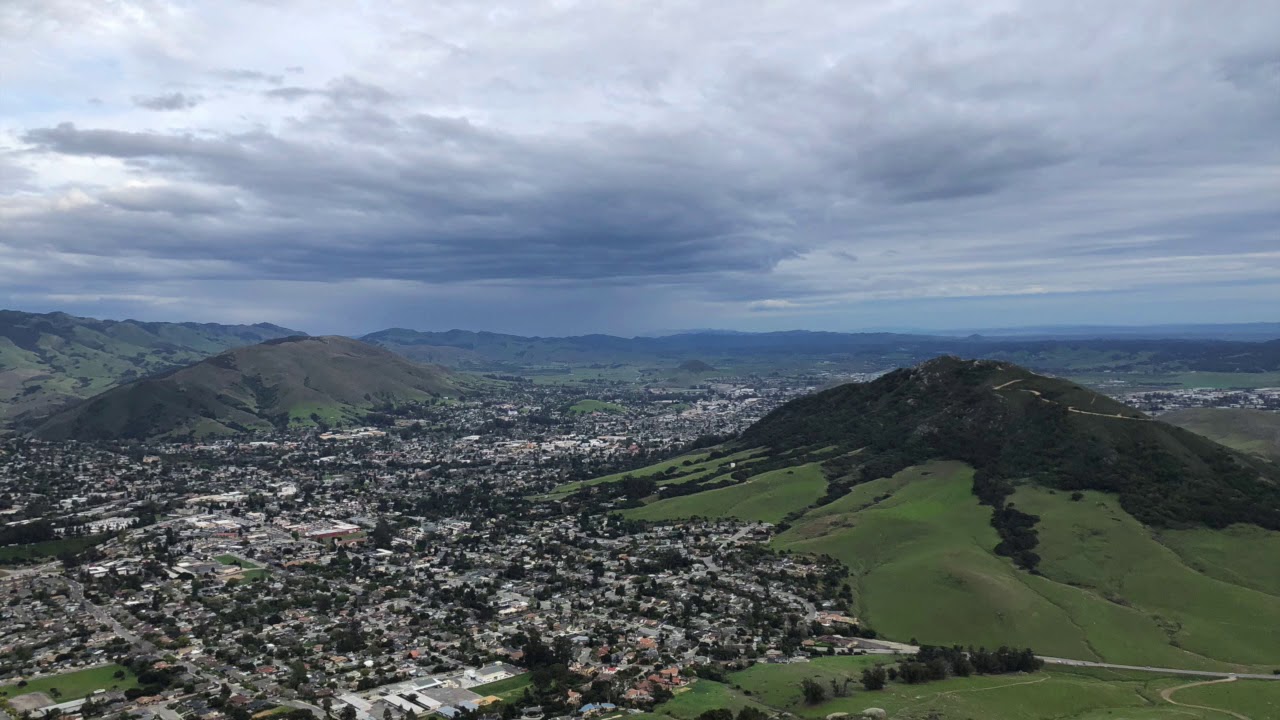 mojobag (hjs) - rubberneck