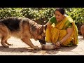 Pani janwar ko jarur pilaye garmi bhut adhik hai,##
