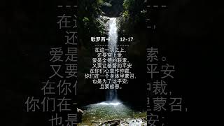 #圣经朗读 | #歌罗西书 3:12-17