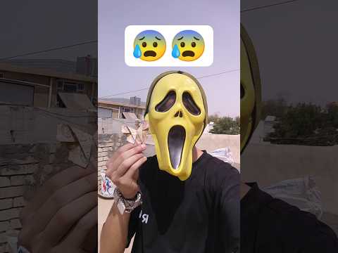 كم فراشة صرفت اليوم 