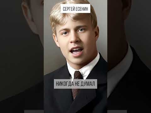 Есенин свищет ветер: история создания шедевра поэта #поэзия #культура #творчество #история #стихи