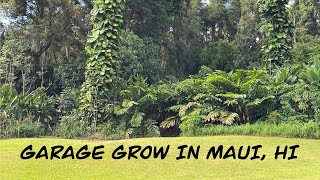 Road to Hana 