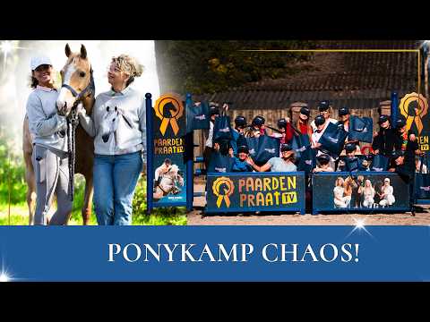 Benthe’s Pony Camp has started! 😱🦄 | PaardenpraatTV