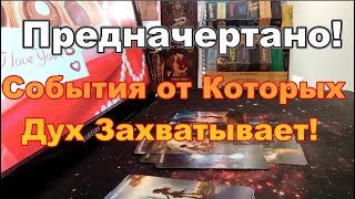 :         # #tarot
