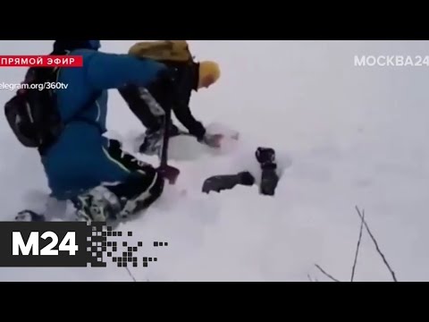 Попавшего под лавину туриста выкопали из-под снега на Камчатке - Москва 24