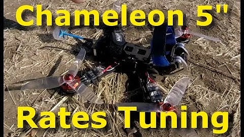 Chameleon 5" built by Armattan: Rates Tuning (Part 2/3)
