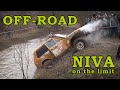 NIVA on the limit