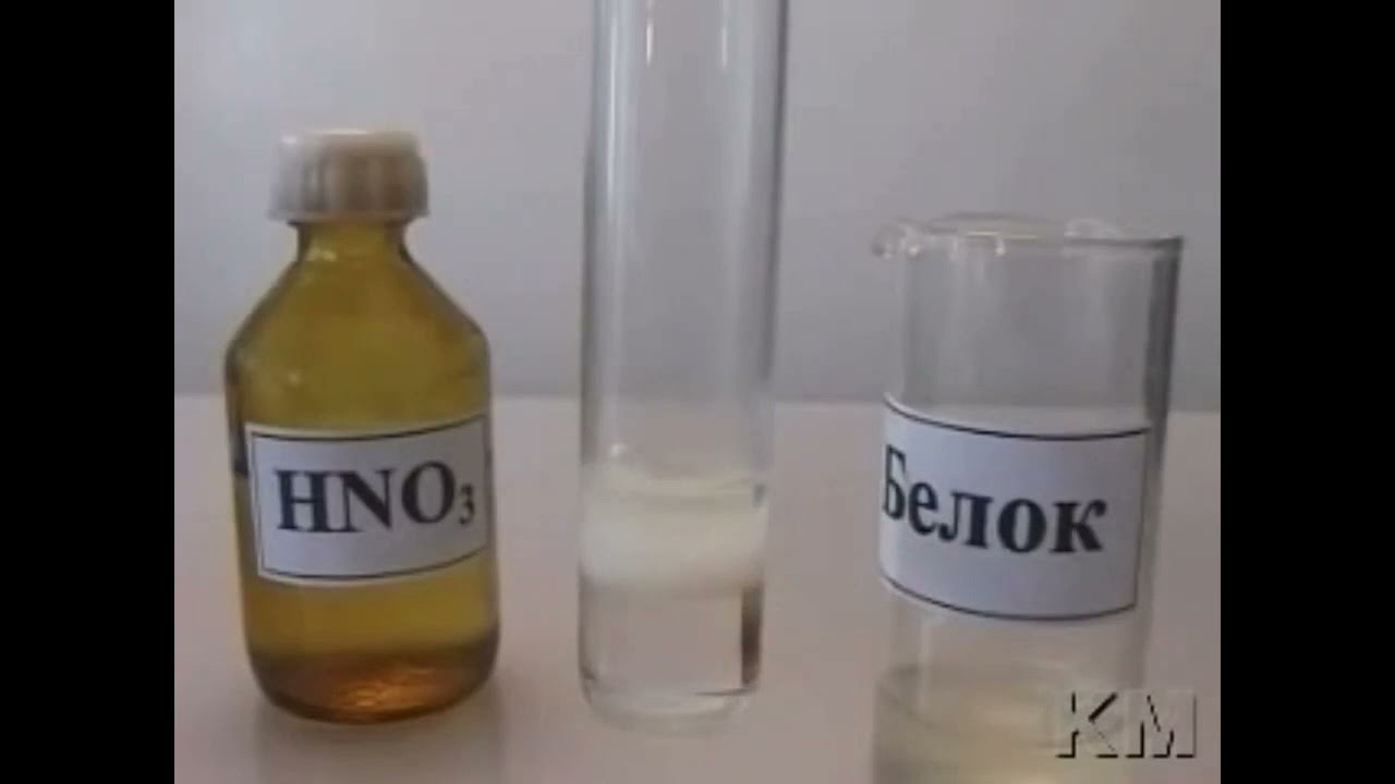 белки оп 3 2 влиян азот кисл - YouTube