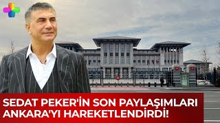 Sedat Peker'in son paylaşımları Ankara'yı hareketlendirdi! Saray'a uzanan iddialar...