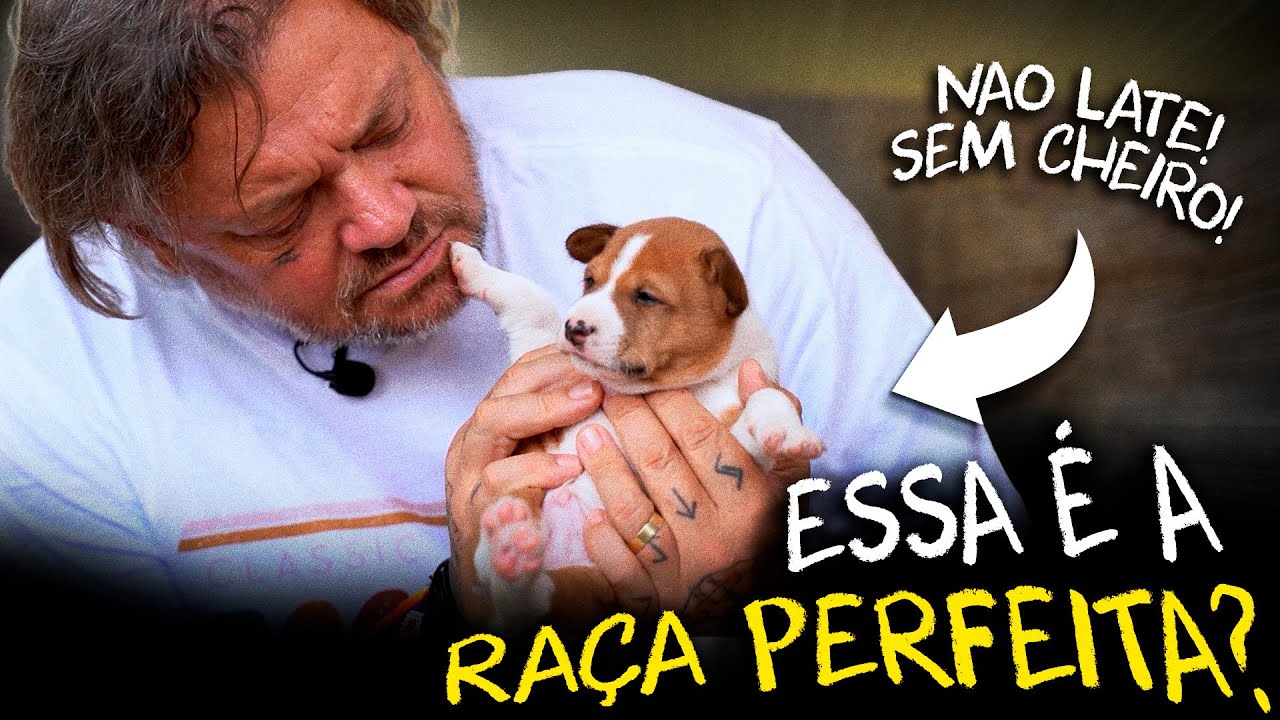 O CACHORRO RÚSTICO QUE NÃO LATE, NÃO TEM CHEIRO E É MUITO INTELIGENTE!
