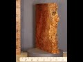 D1693 Musical Billet Curly Spalted Burl Maple With Live Edge Lumber