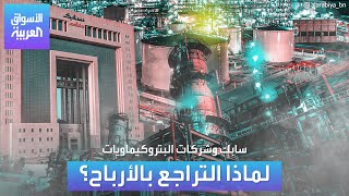 لماذا تسجل شركات البتروكيماويات انخفاضات بأرباحها؟