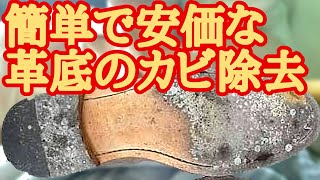 安価で簡単な革底のカビ除去方法