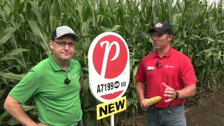 PRIDE Seeds adds SmartStax Pro rootworm control to 2024 corn lineup
