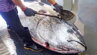 Insane Bluefin Tuna Cutting Skills That Look Like Pure Magic#bluefintuna #sushichef