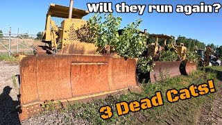 Digging out abandoned non running Cat dozers out of a forest that were left for dead