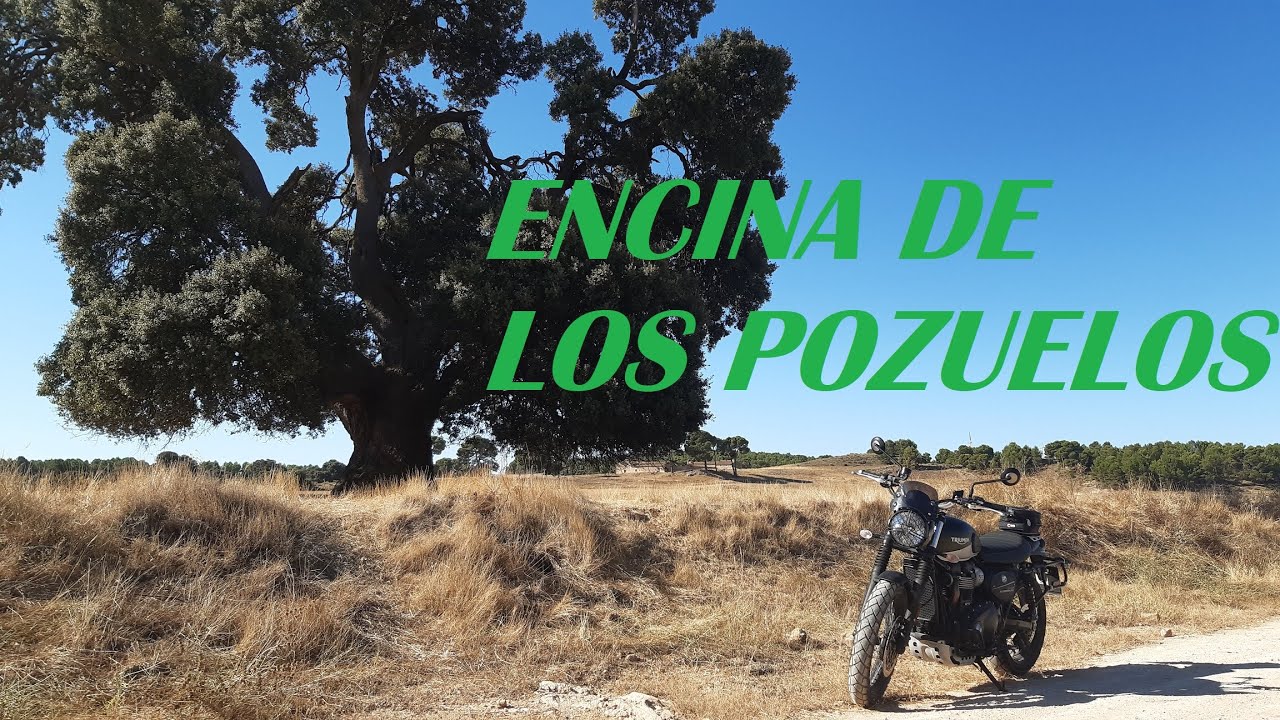 Encina de los Pozuelos - Triumph Street Scrambler