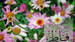 فاطر...فارس عباد || Fatir...Fares Abbad